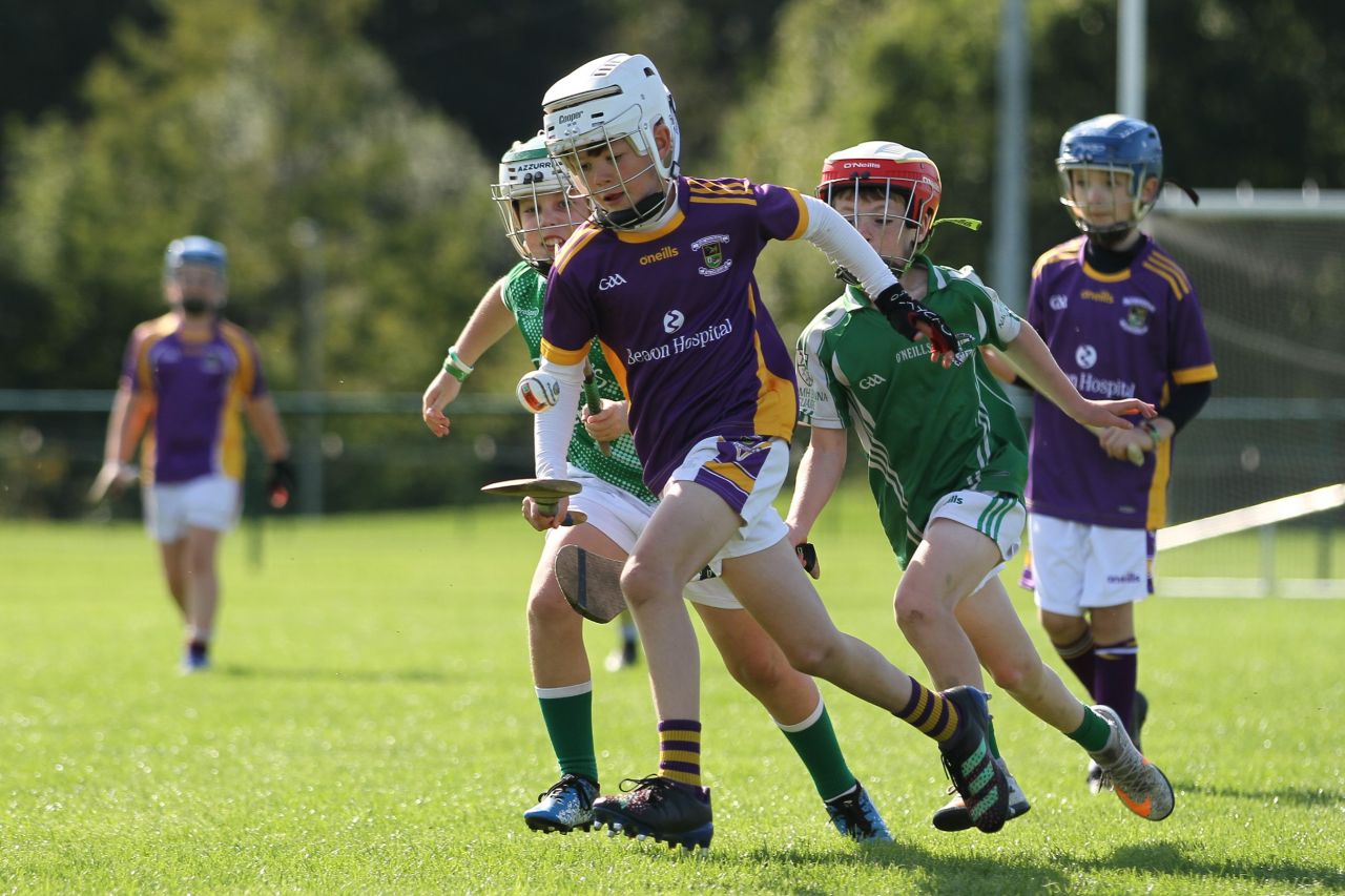 U9 Boys Festival of Hurling 2022