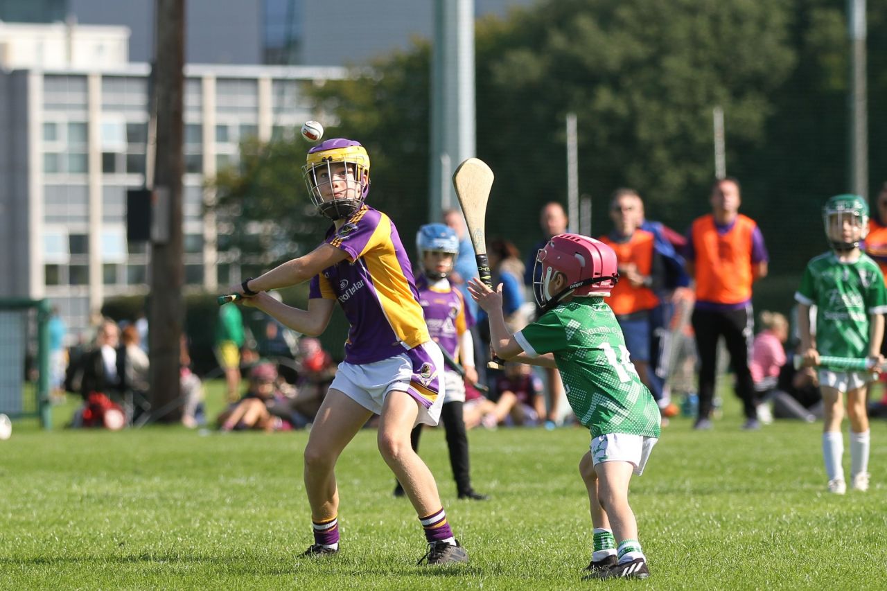 U9 Boys Festival of Hurling 2022