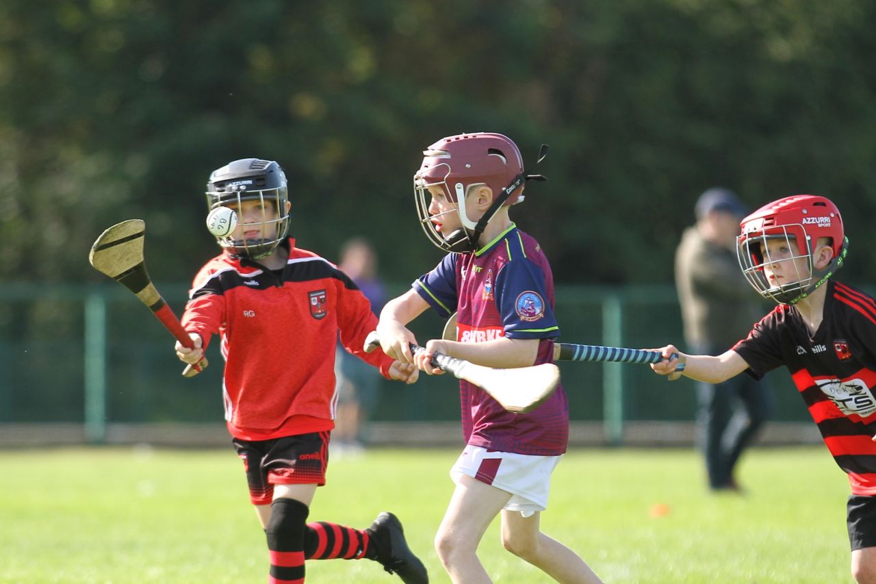 U9 Boys Festival of Hurling 2022