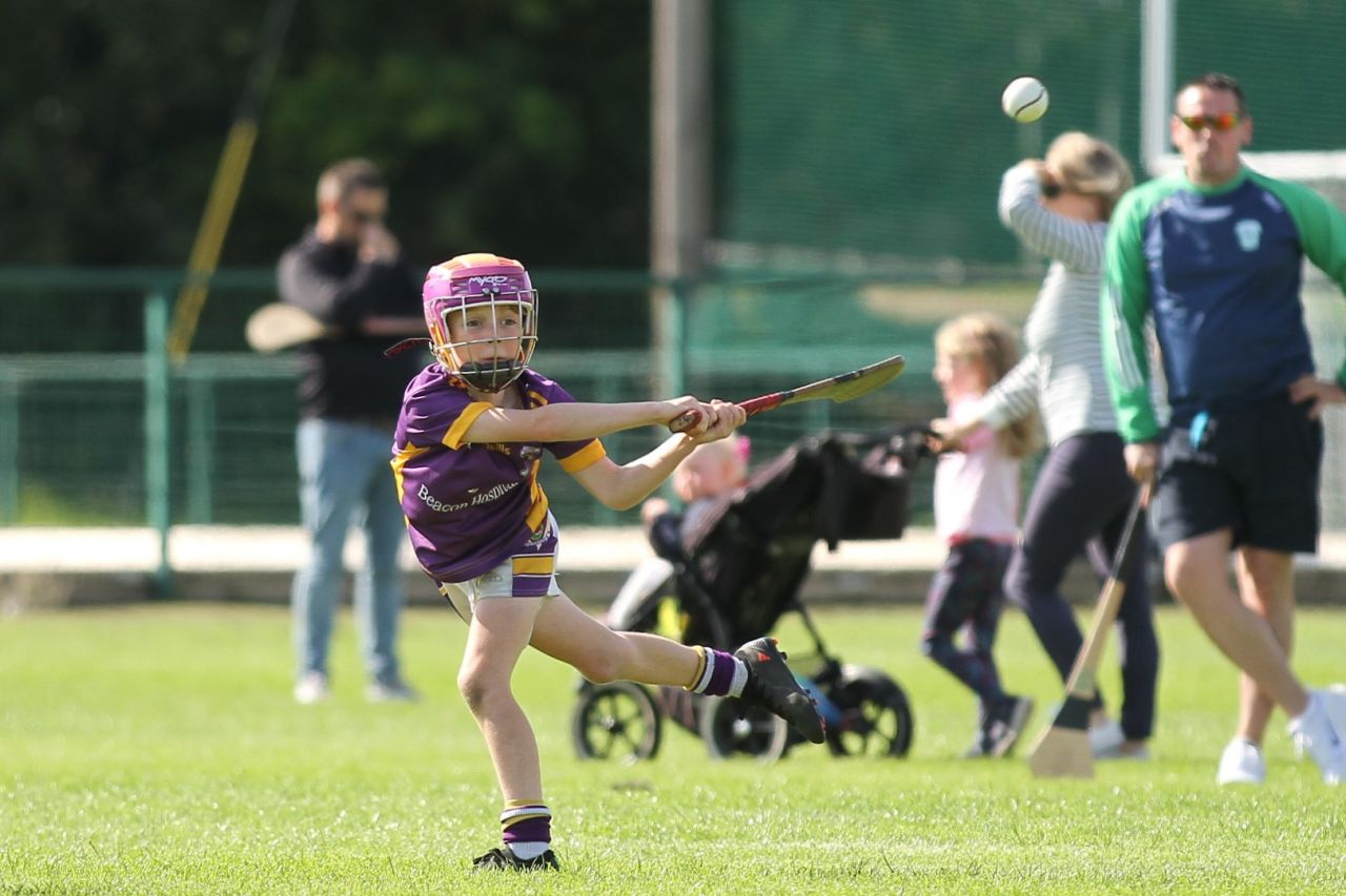 U9 Boys Festival of Hurling 2022