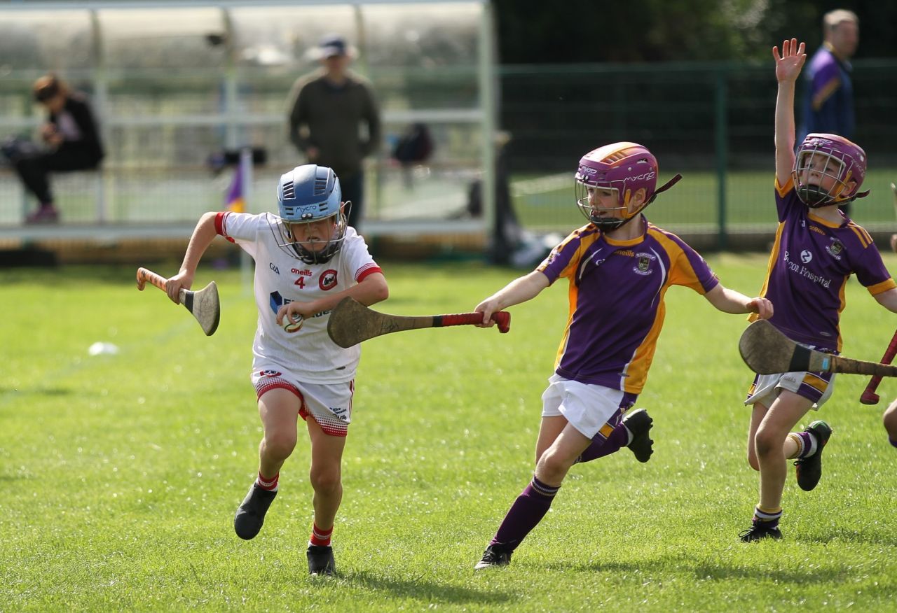 U9 Boys Festival of Hurling 2022