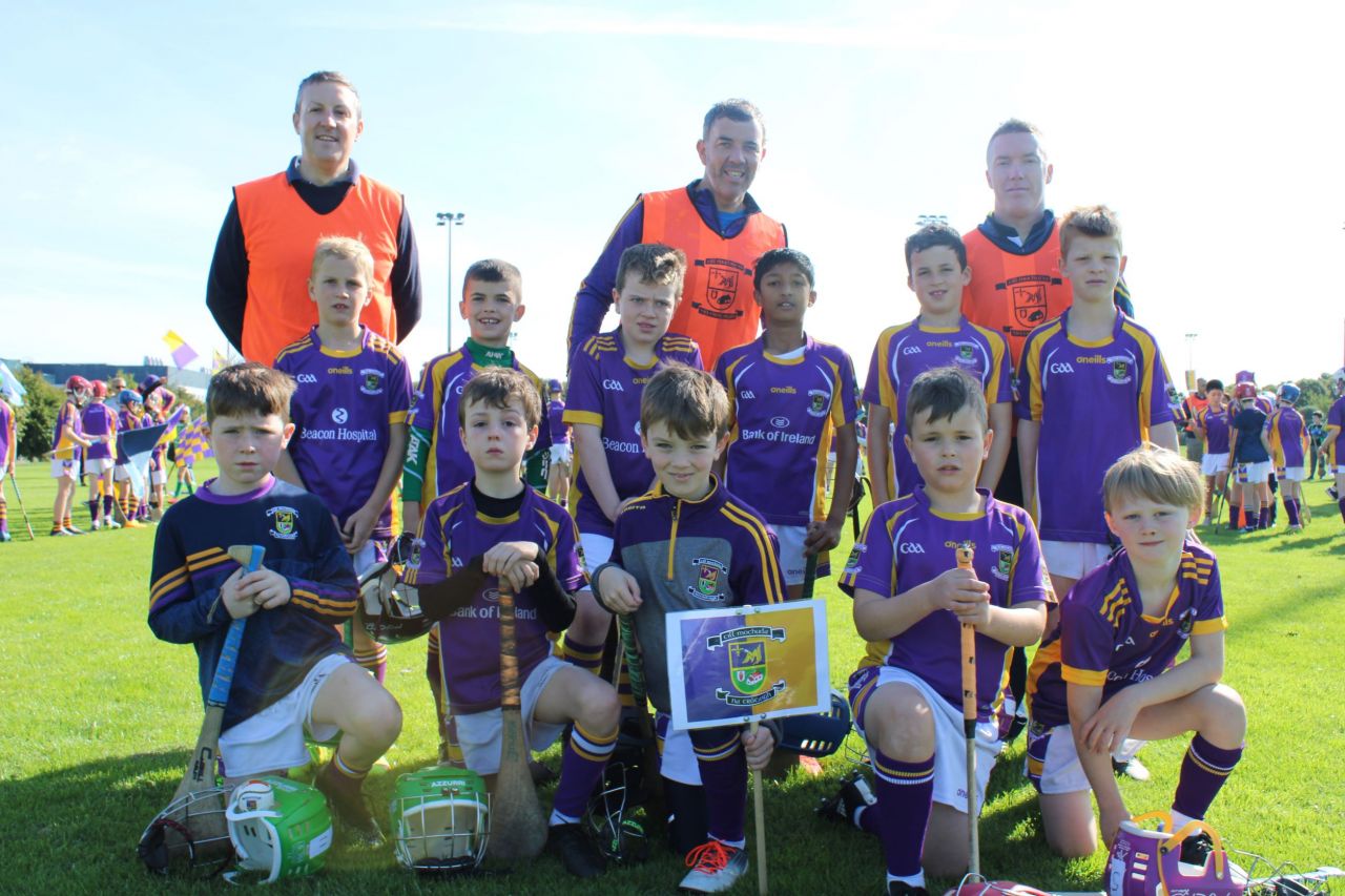 More photos from the U9 Festival of Hurling