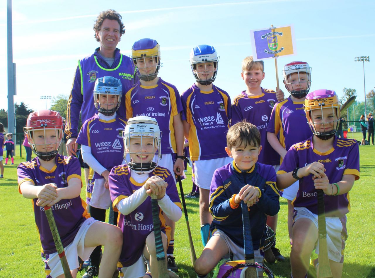 More photos from the U9 Festival of Hurling