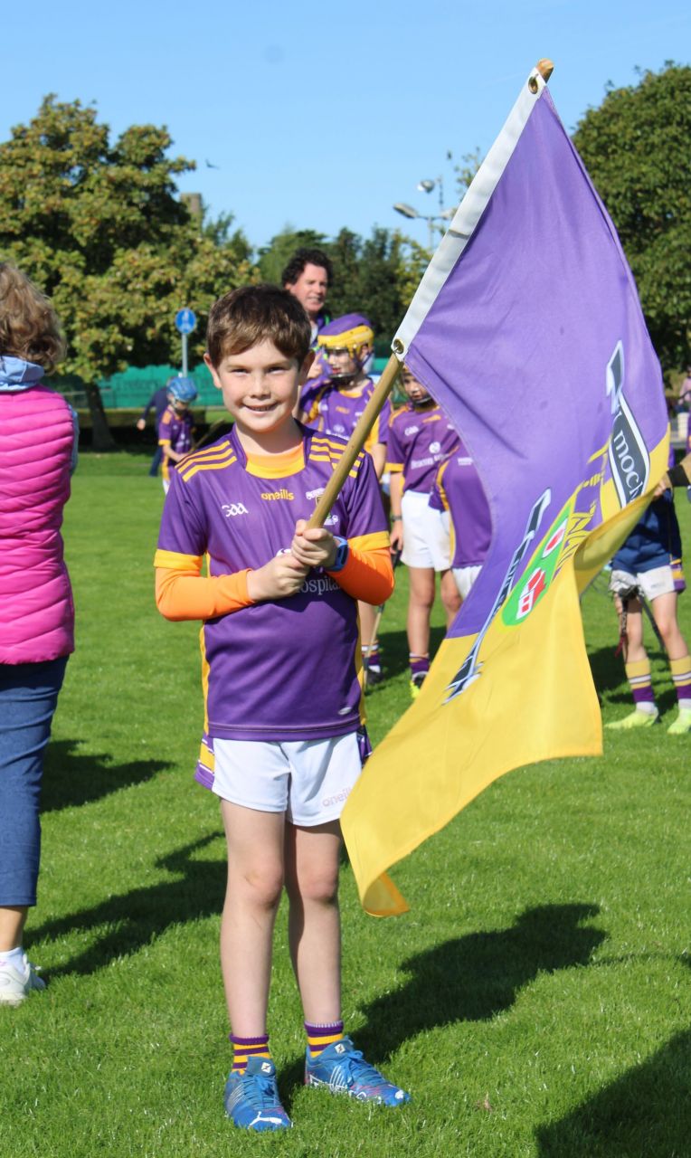 More photos from the U9 Festival of Hurling