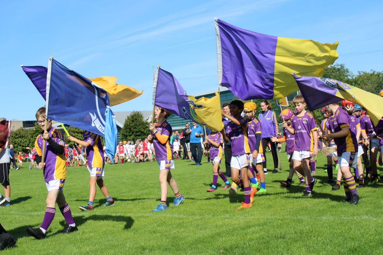 More photos from the U9 Festival of Hurling