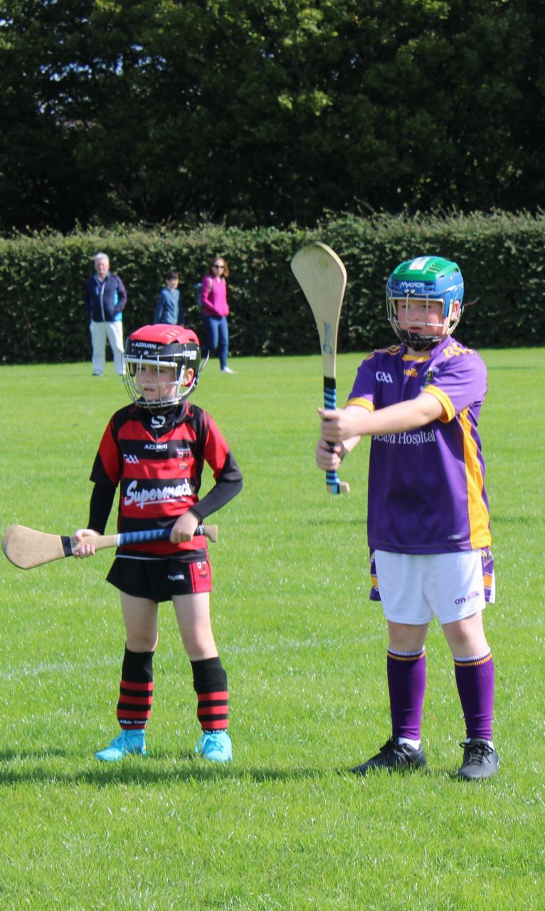 More photos from the U9 Festival of Hurling