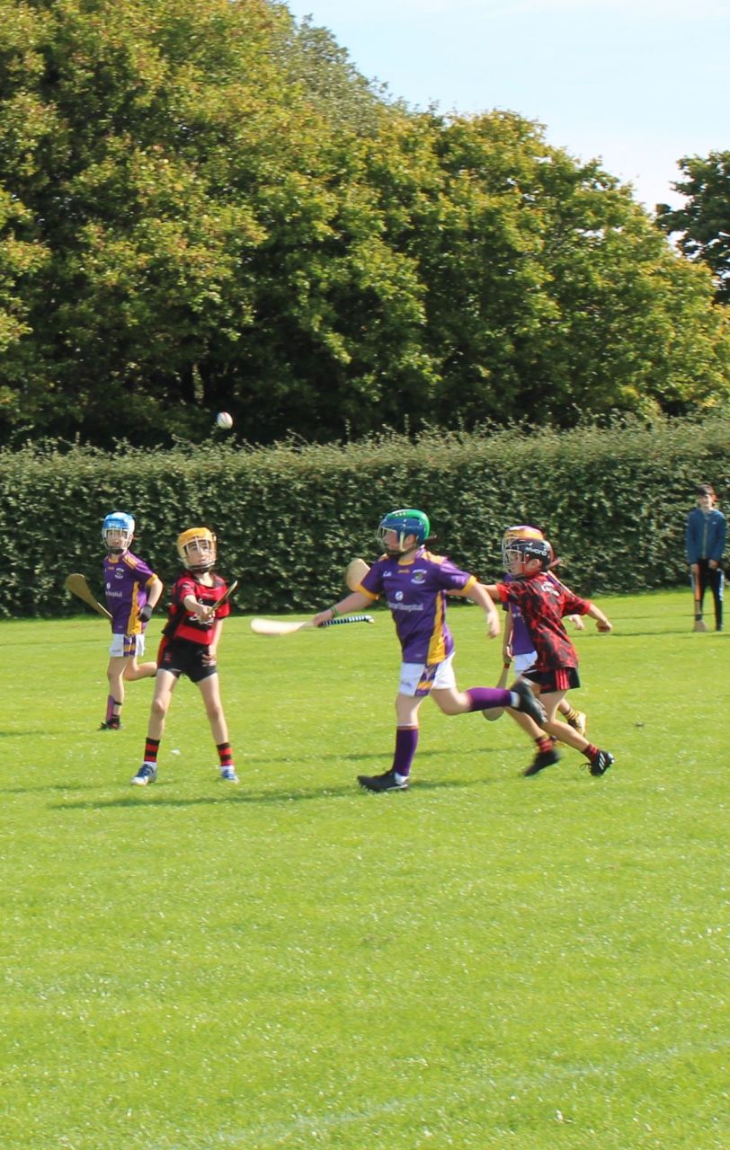 More photos from the U9 Festival of Hurling