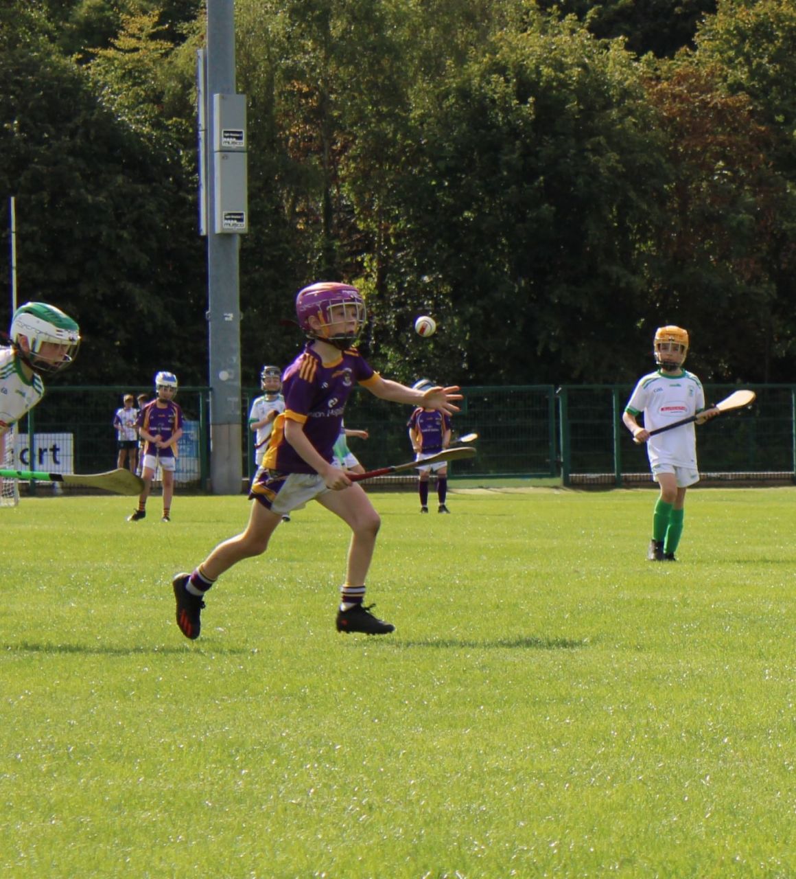 More photos from the U9 Festival of Hurling