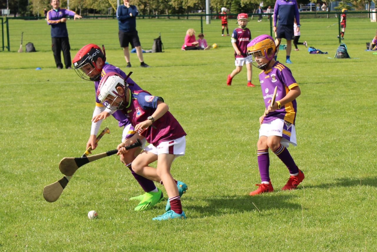 More photos from the U9 Festival of Hurling