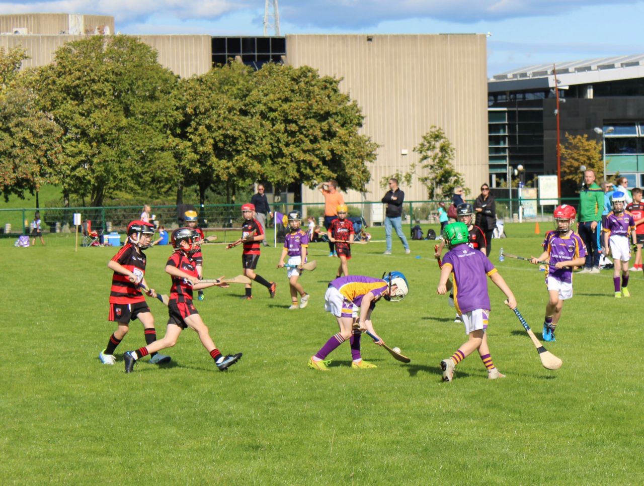 More photos from the U9 Festival of Hurling