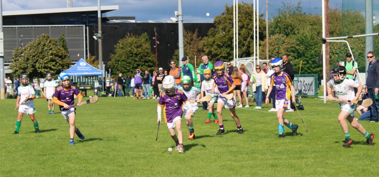 More photos from the U9 Festival of Hurling