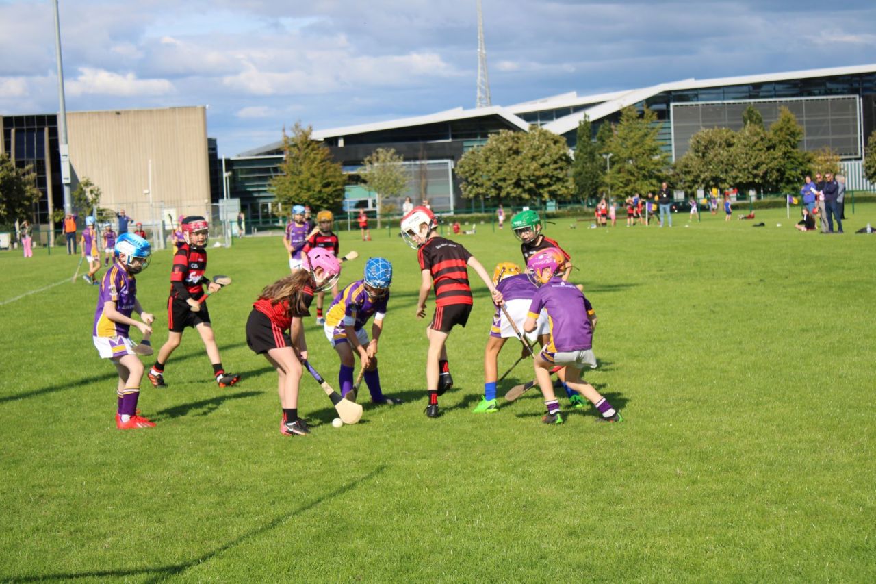 More photos from the U9 Festival of Hurling