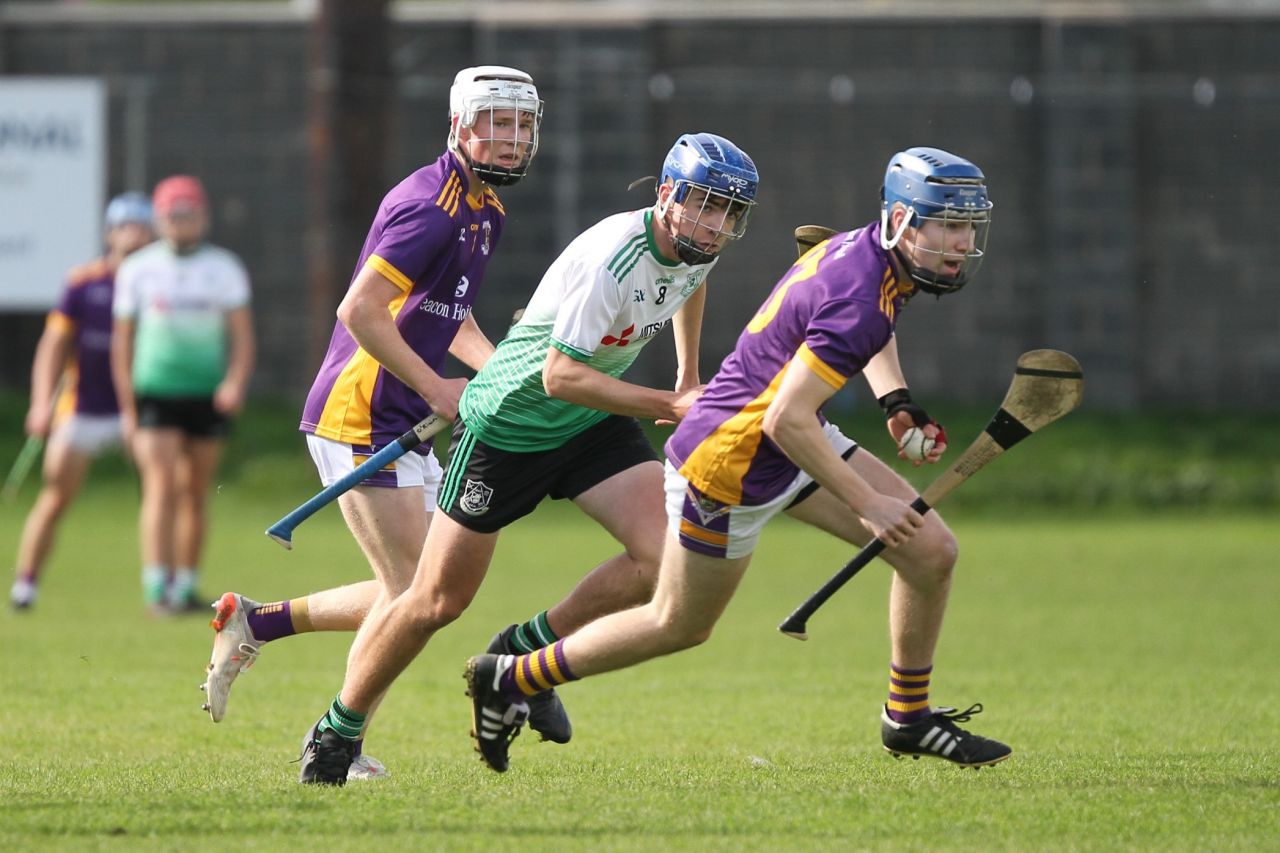 Under 17 A Hurling Championship vs Lucan Sarsfields