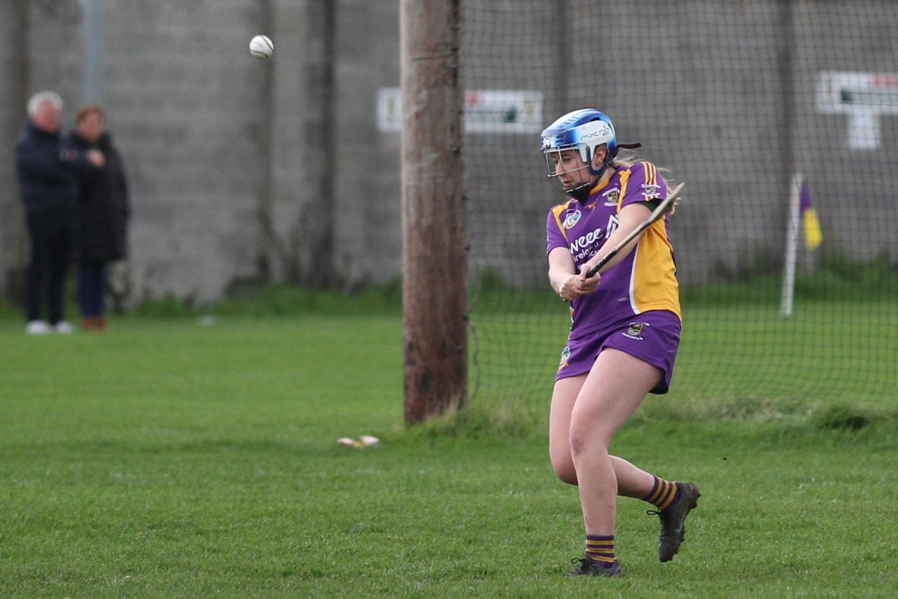 Camogie Go Ahead U18 Championship Semi Finals vs Naomh Maurs