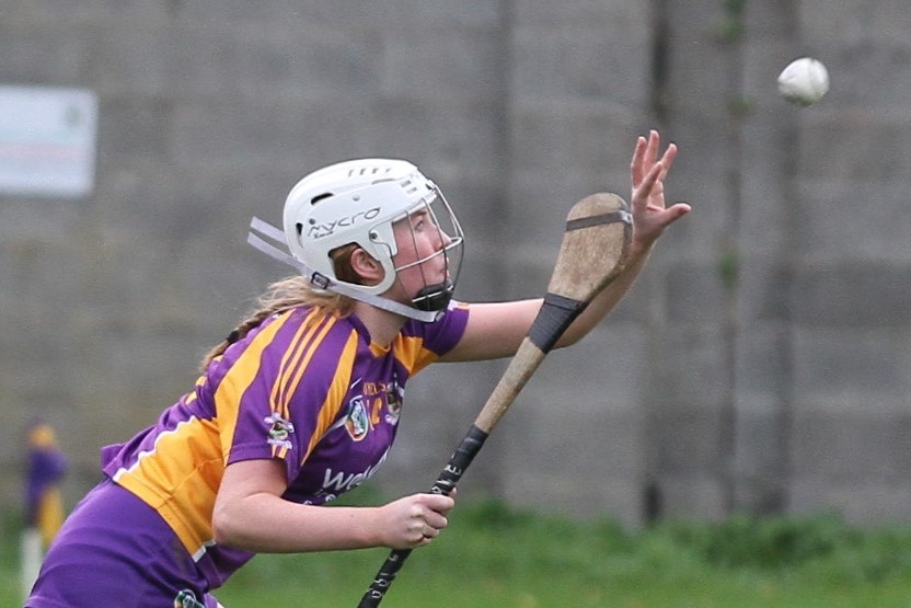 Camogie Go Ahead U18 Championship Semi Finals vs Naomh Maurs