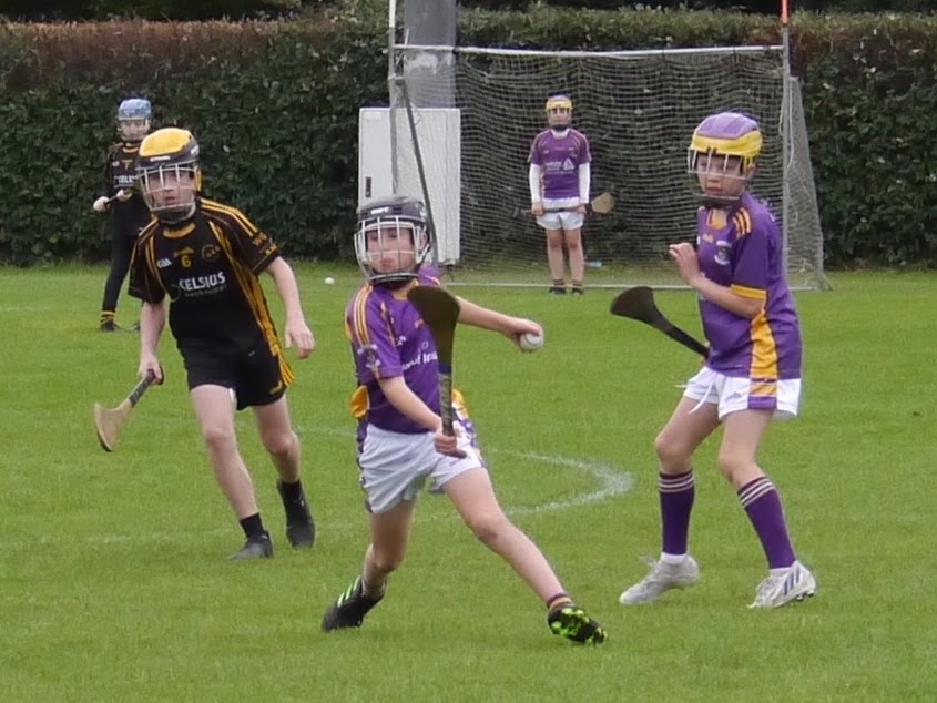 U12 Festival of Hurling 