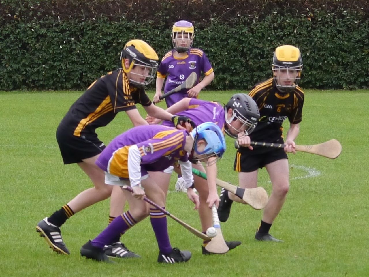 U12 Festival of Hurling 