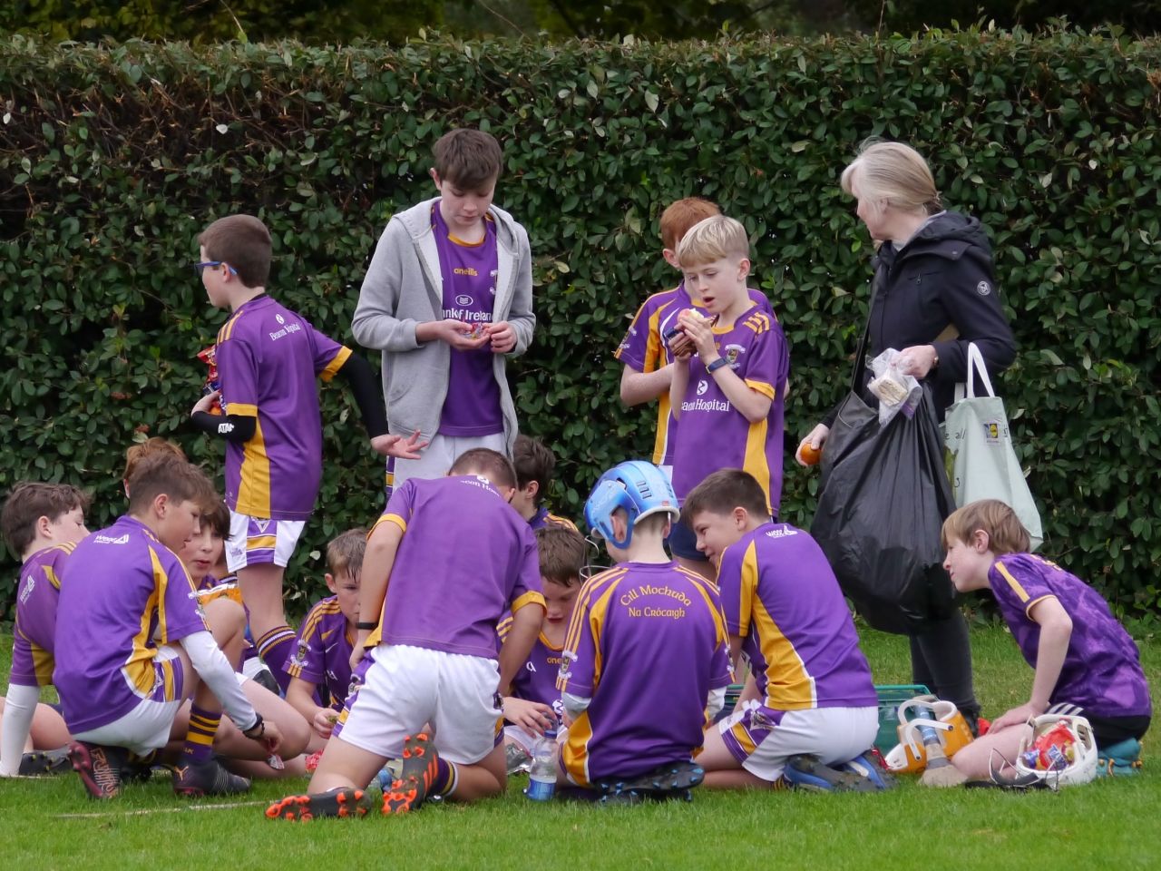 U12 Festival of Hurling 