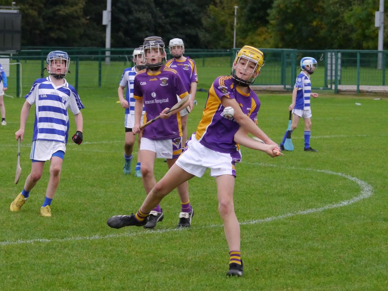 U12 Festival of Hurling 