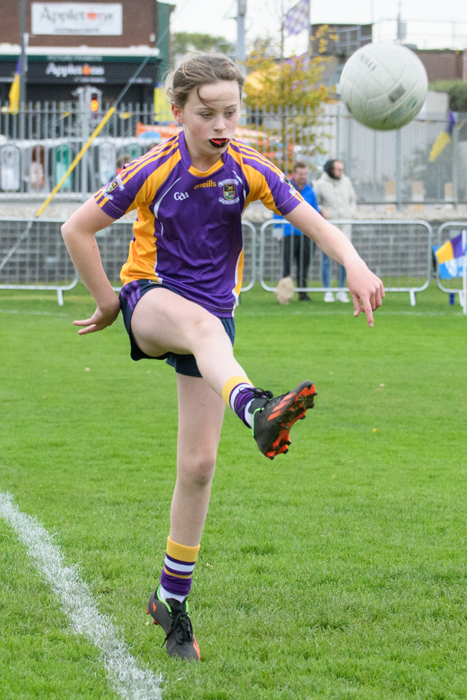 Kilmacud Crokes Senior Ladies Footballers Overcome Dunboyne in Leinster Quarter Final 