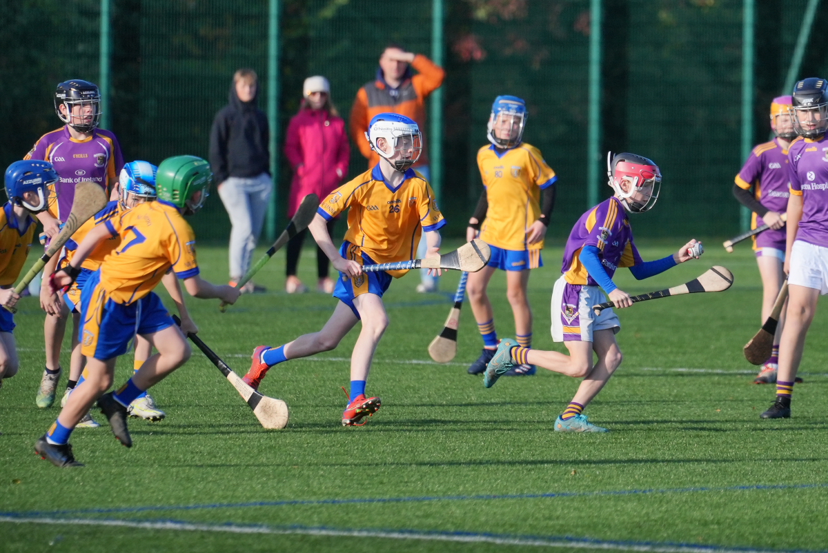 U12 Hurling League Div.4 vs Na Fianna