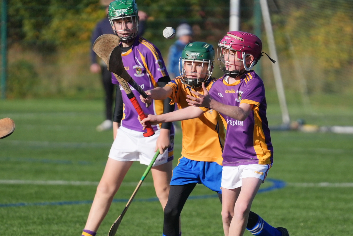 U12 Hurling League Div.4 vs Na Fianna