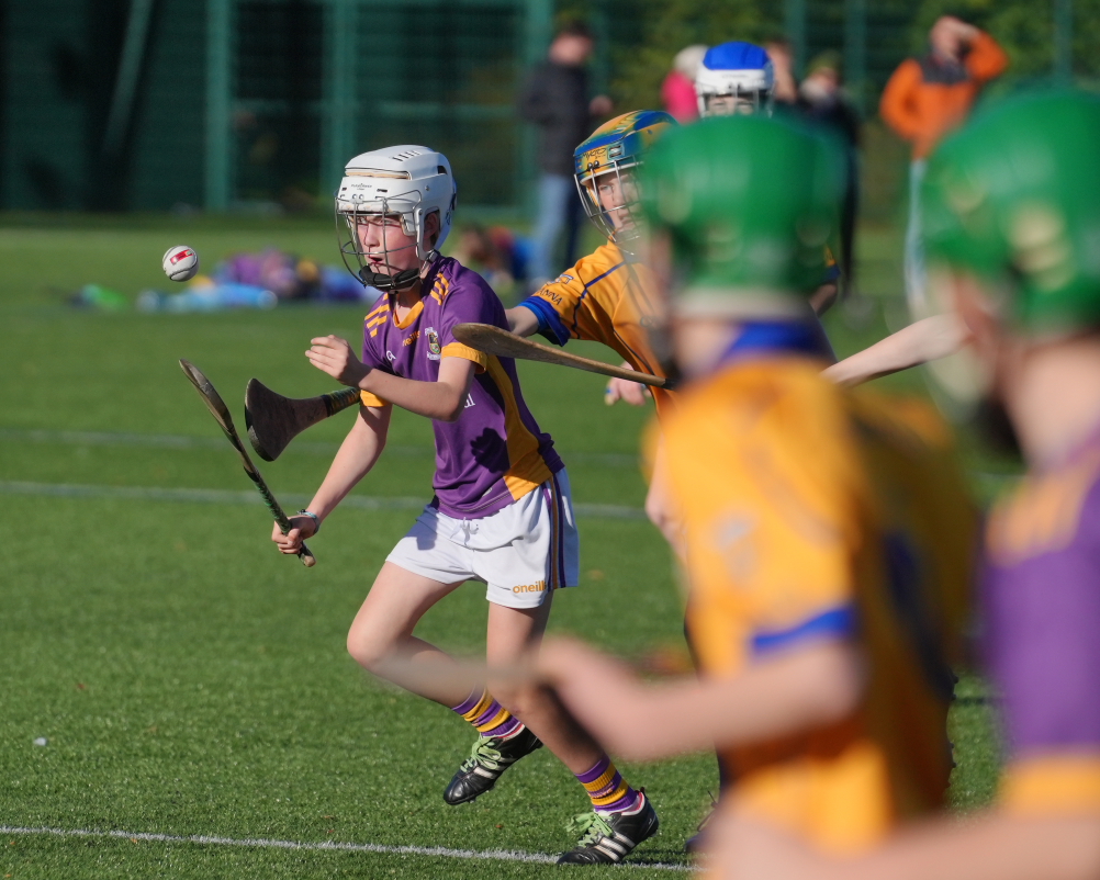 U12 Hurling League Div.4 vs Na Fianna