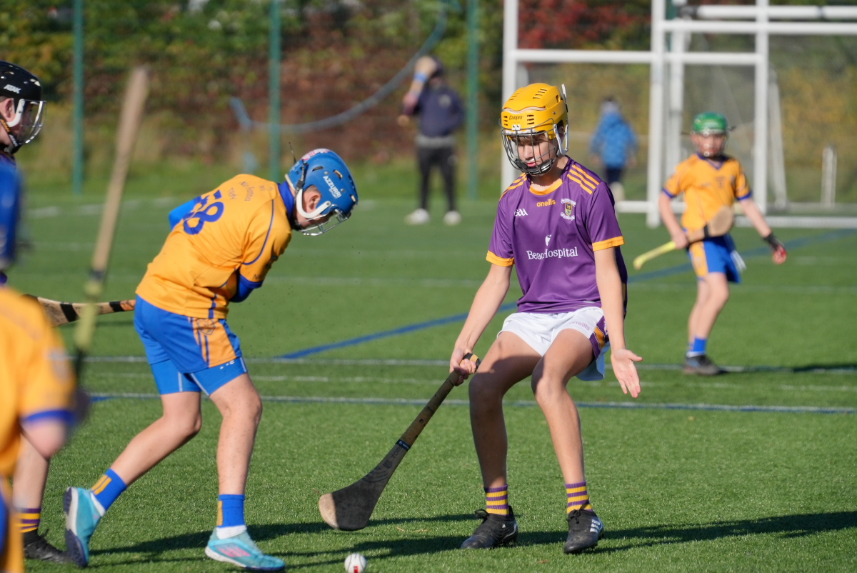 U12 Hurling League Div.4 vs Na Fianna