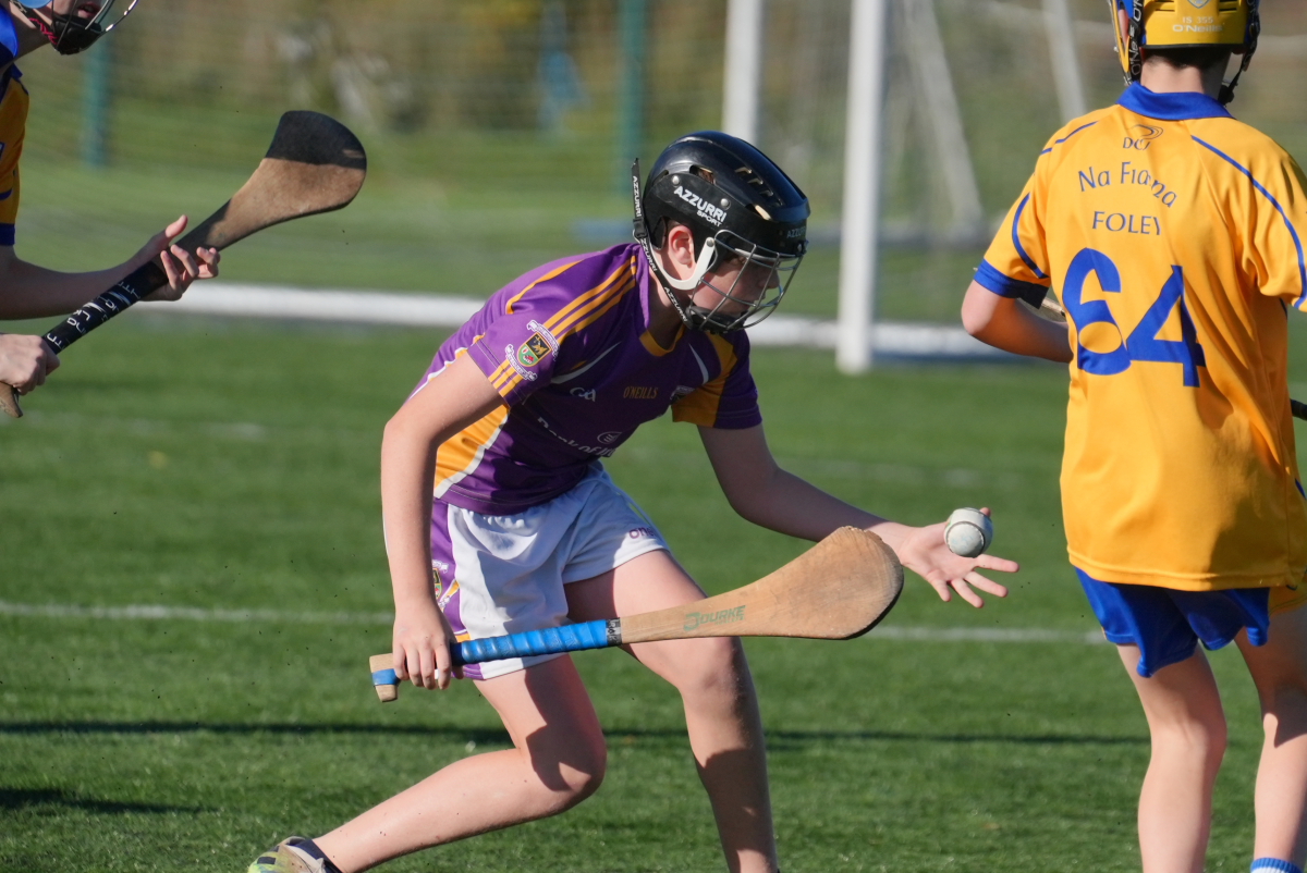 U12 Hurling League Div.4 vs Na Fianna