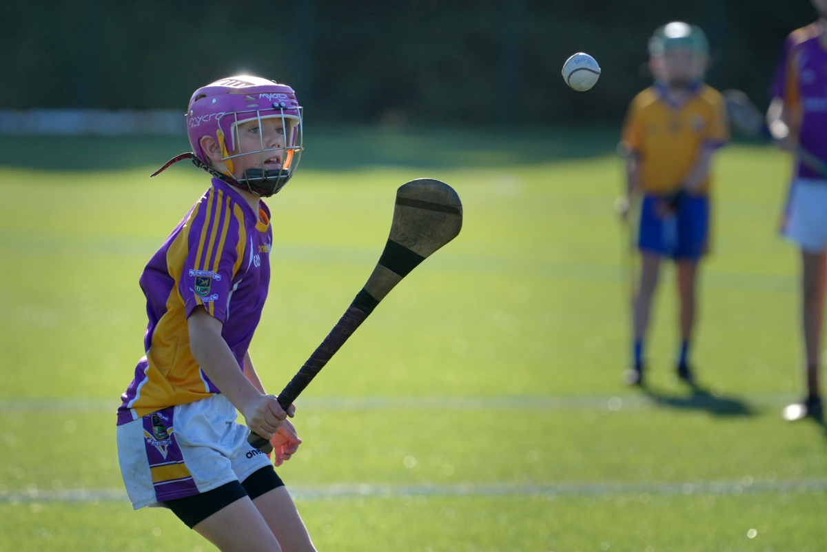 U12 Hurling League Div.4 vs Na Fianna