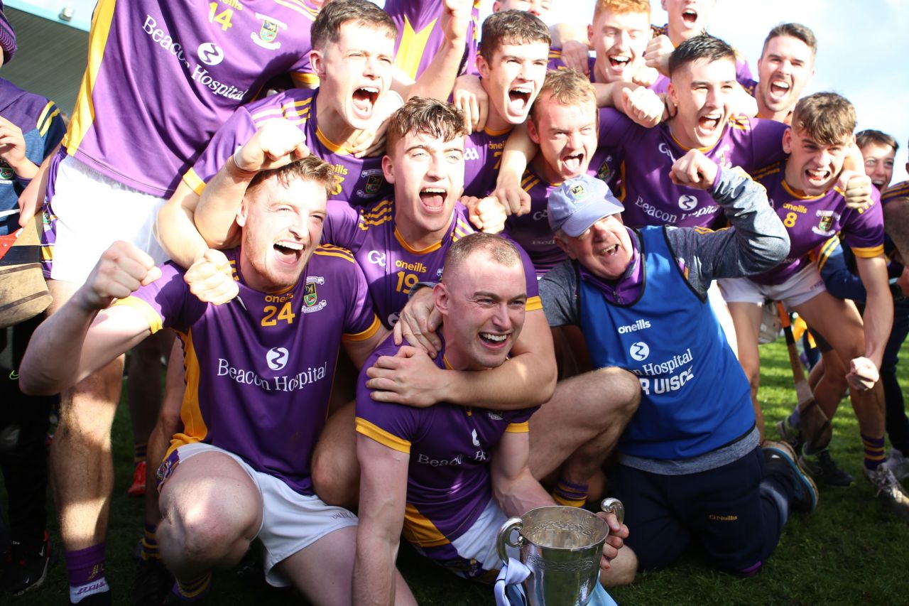 Kilmacud Crokes Senior Hurlers win County Championship 