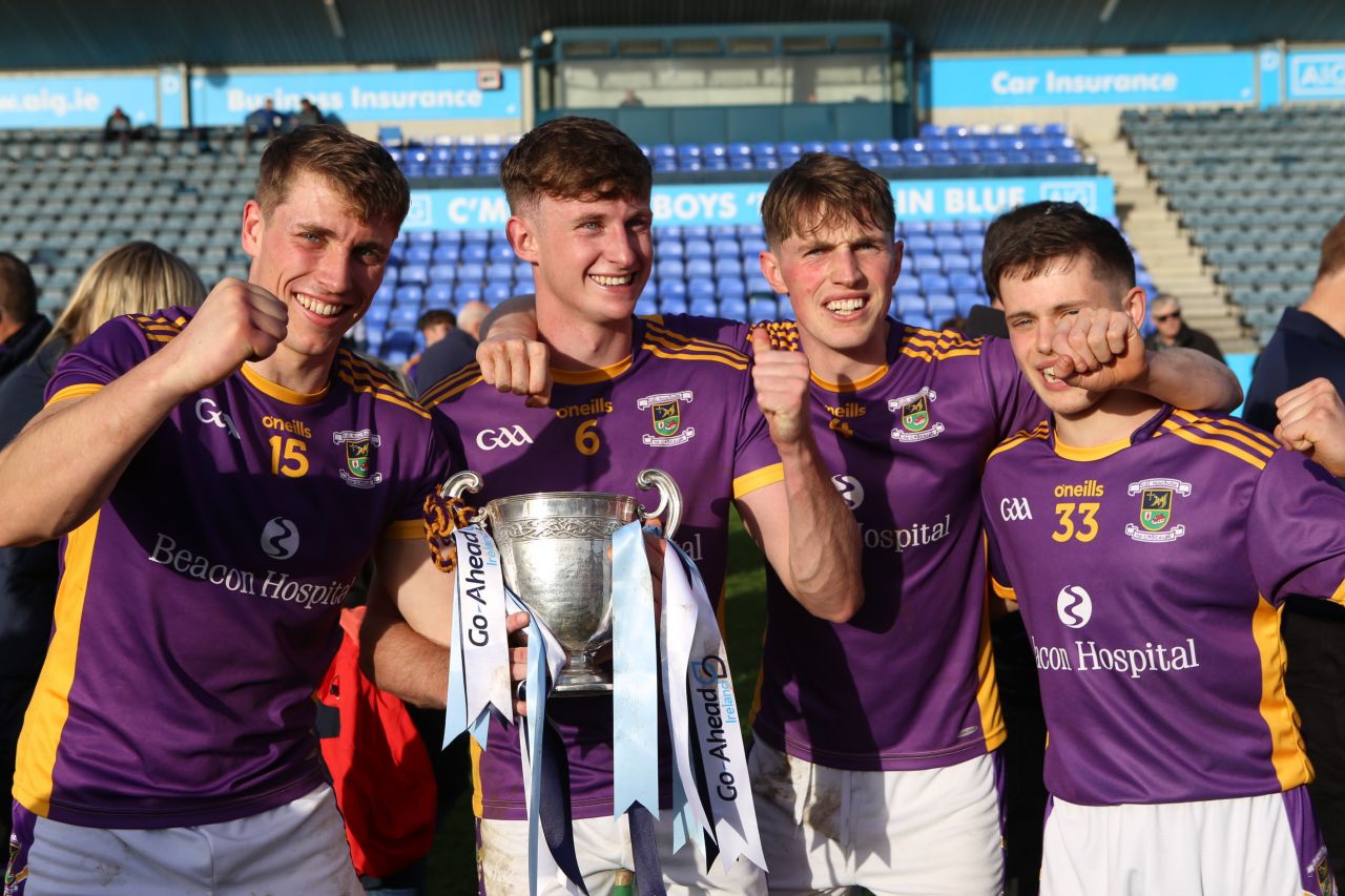 Kilmacud Crokes Senior Hurlers win County Championship 