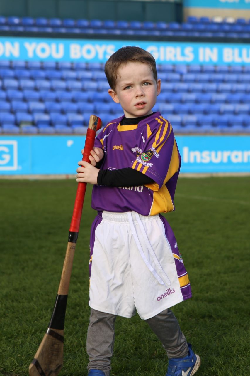 Kilmacud Crokes Senior Hurlers win County Championship 