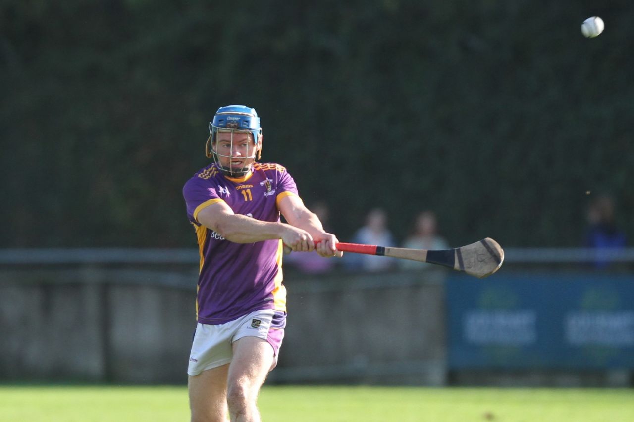 Kilmacud Crokes Senior Hurlers win County Championship 