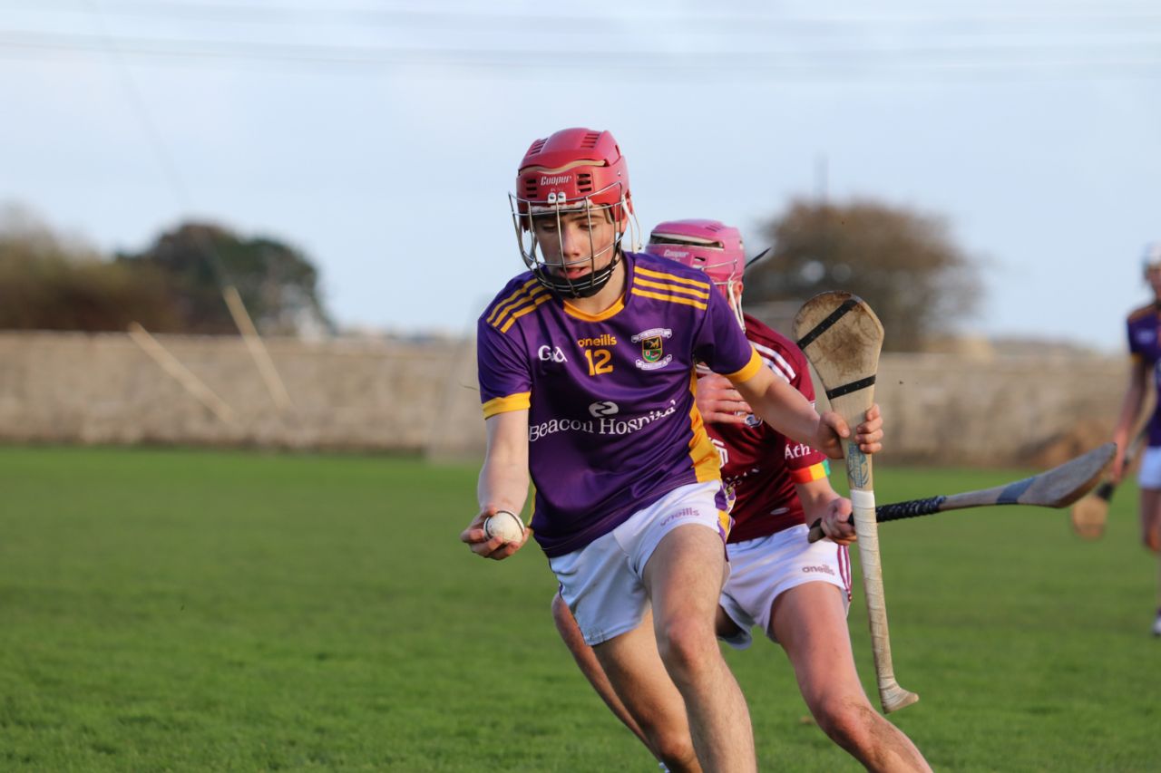 Kilmacud Crokes Under 15's Hurling Trip to Athenry 