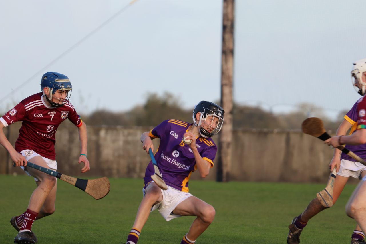 Kilmacud Crokes Under 15's Hurling Trip to Athenry 