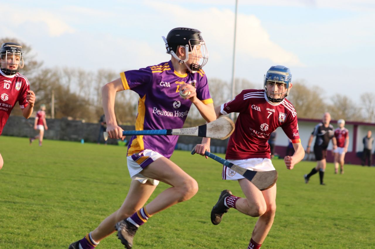 Kilmacud Crokes Under 15's Hurling Trip to Athenry 