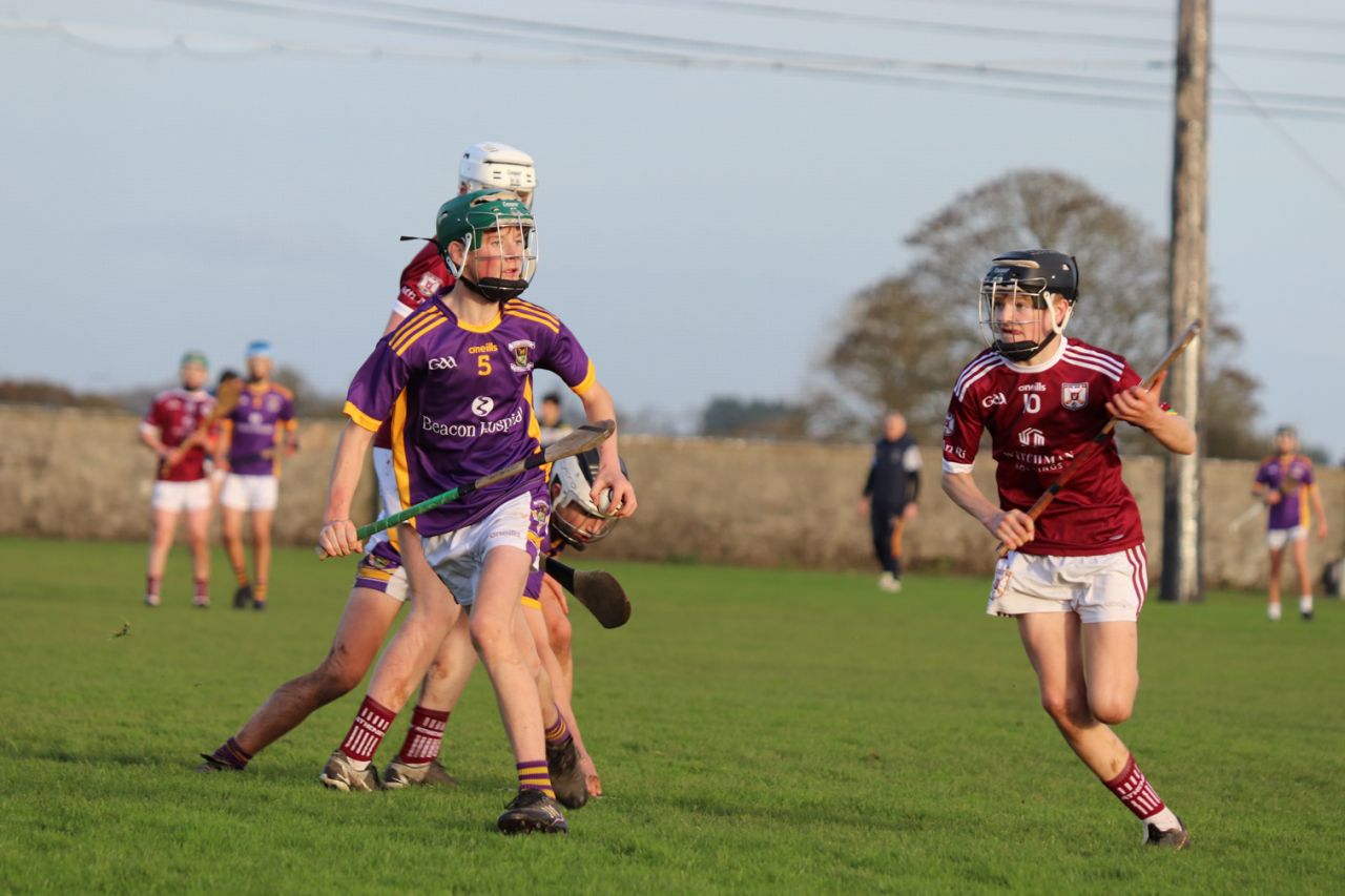 Kilmacud Crokes Under 15's Hurling Trip to Athenry 