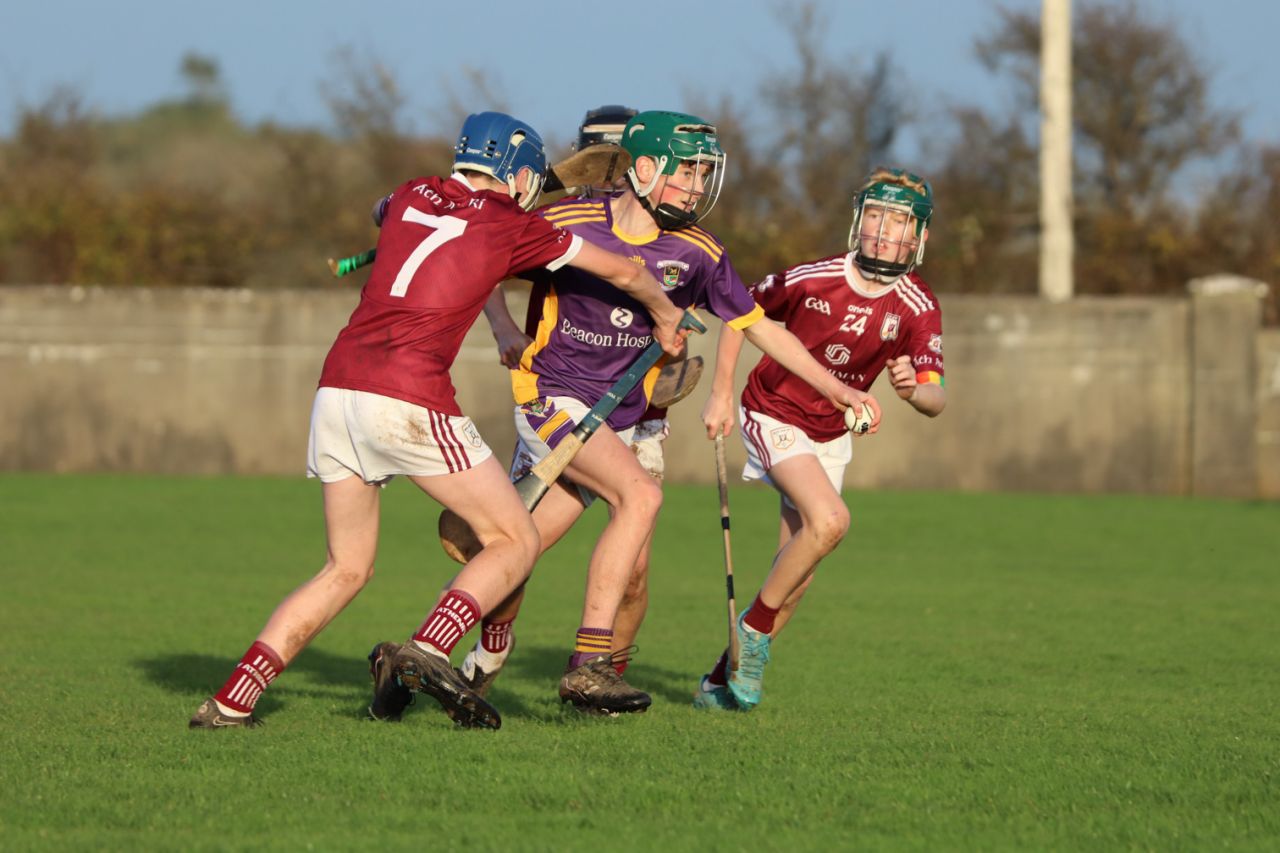 Kilmacud Crokes Under 15's Hurling Trip to Athenry 