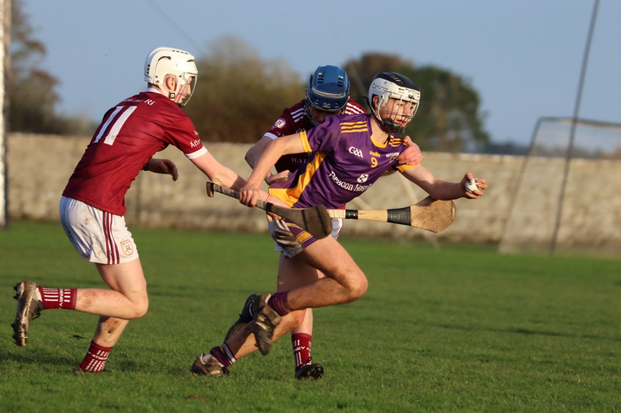 Kilmacud Crokes Under 15's Hurling Trip to Athenry