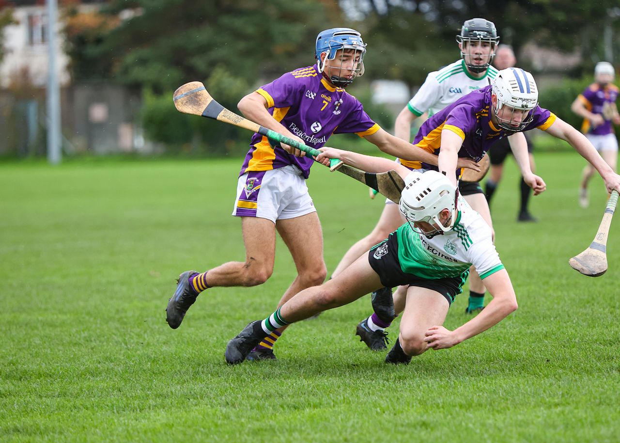 Kilmacud Crokes  Snatch Victory Over Lucan in Minor A Hurling County Final 