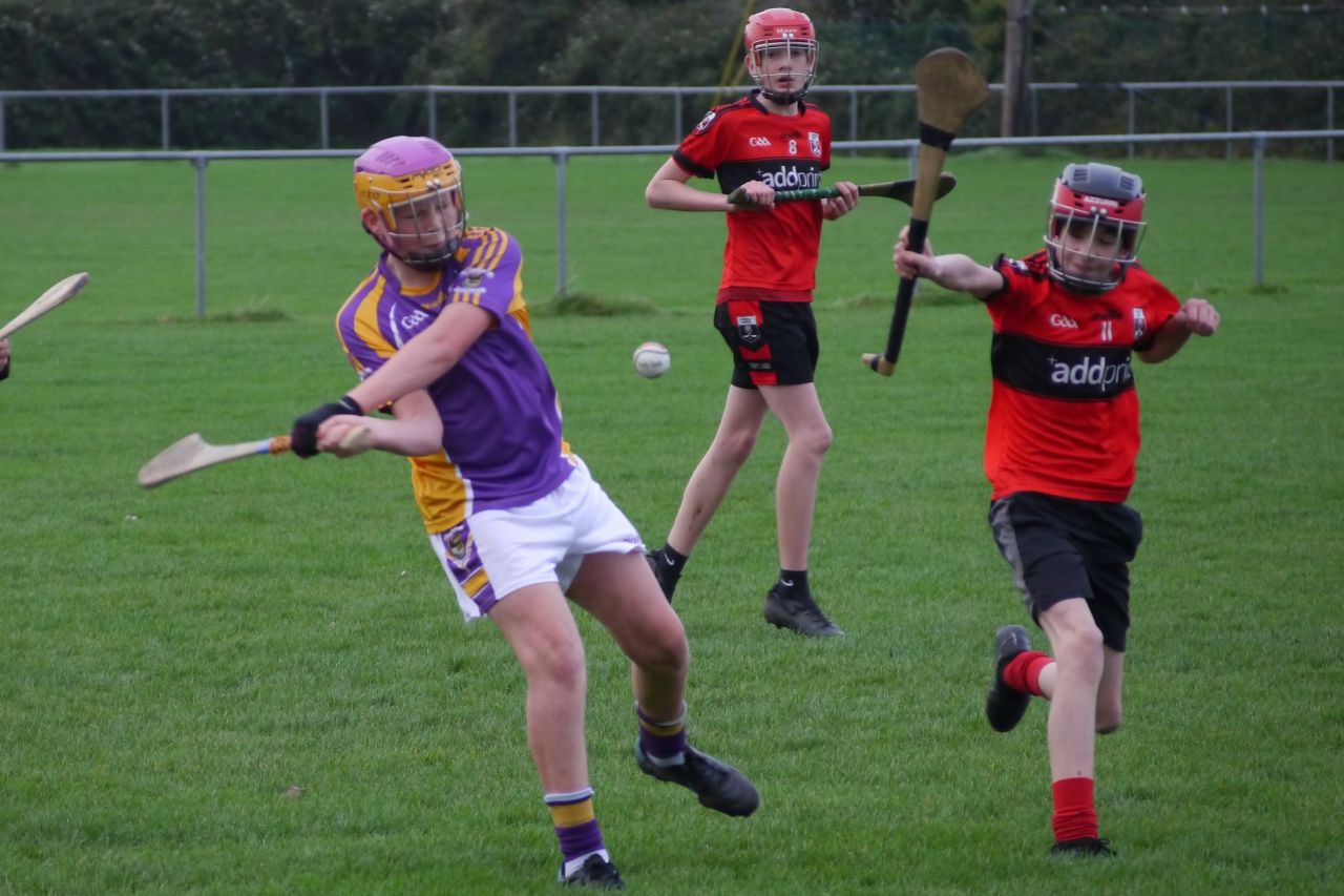 U12 Hurling League Div.11 vs. Trinity Gaels