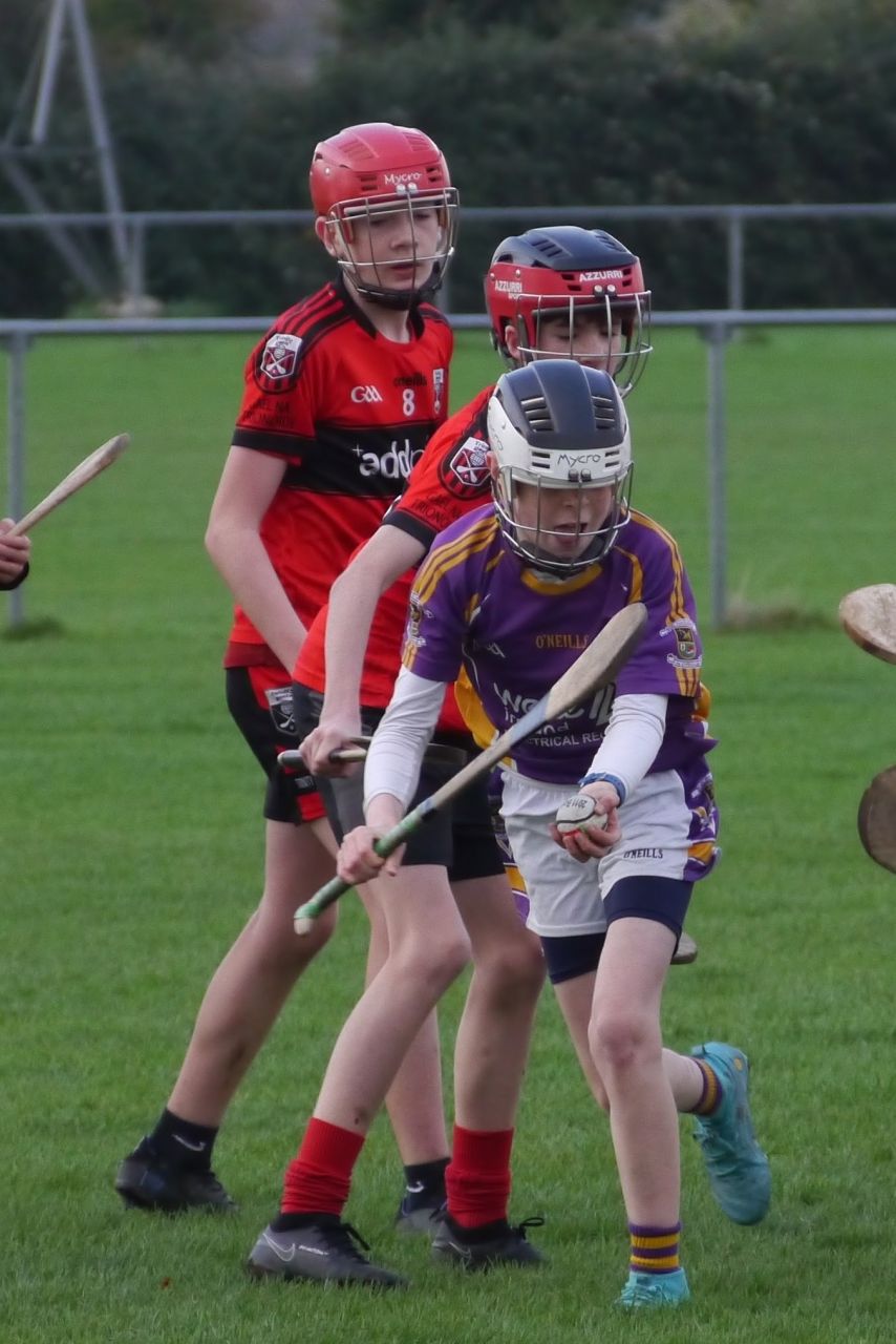 U12 Hurling League Div.11 vs. Trinity Gaels