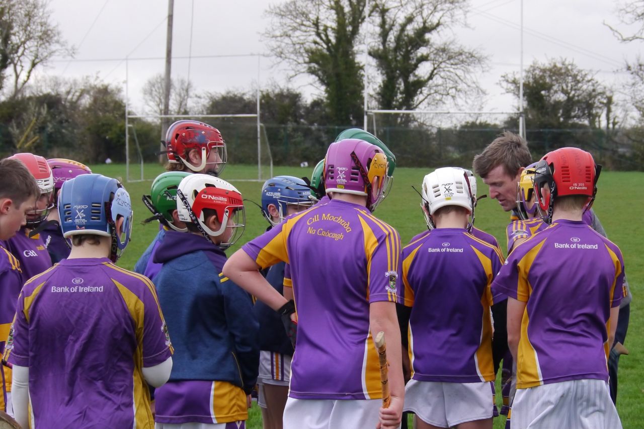 U12 Hurling League Div.11 vs. Trinity Gaels