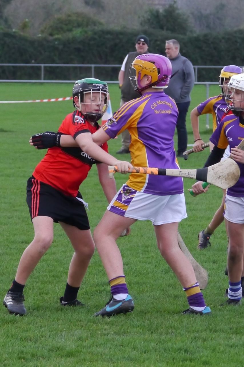 U12 Hurling League Div.11 vs. Trinity Gaels