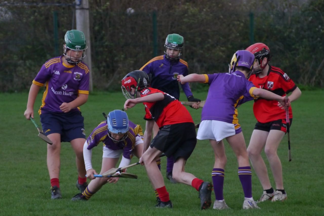 U12 Hurling League Div.11 vs. Trinity Gaels