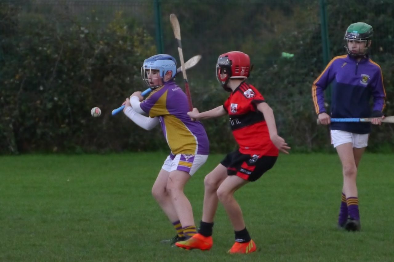 U12 Hurling League Div.11 vs. Trinity Gaels