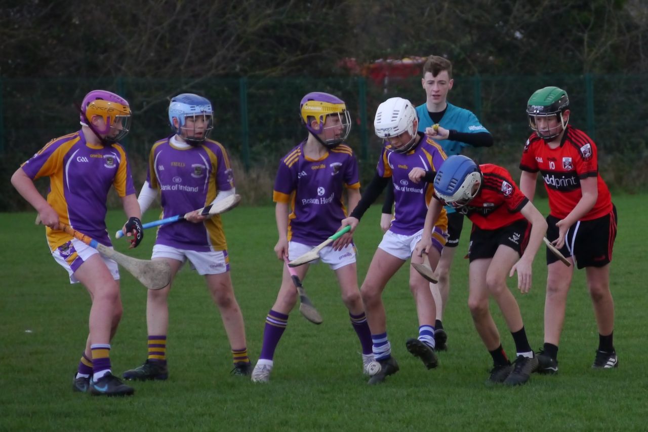 U12 Hurling League Div.11 vs. Trinity Gaels