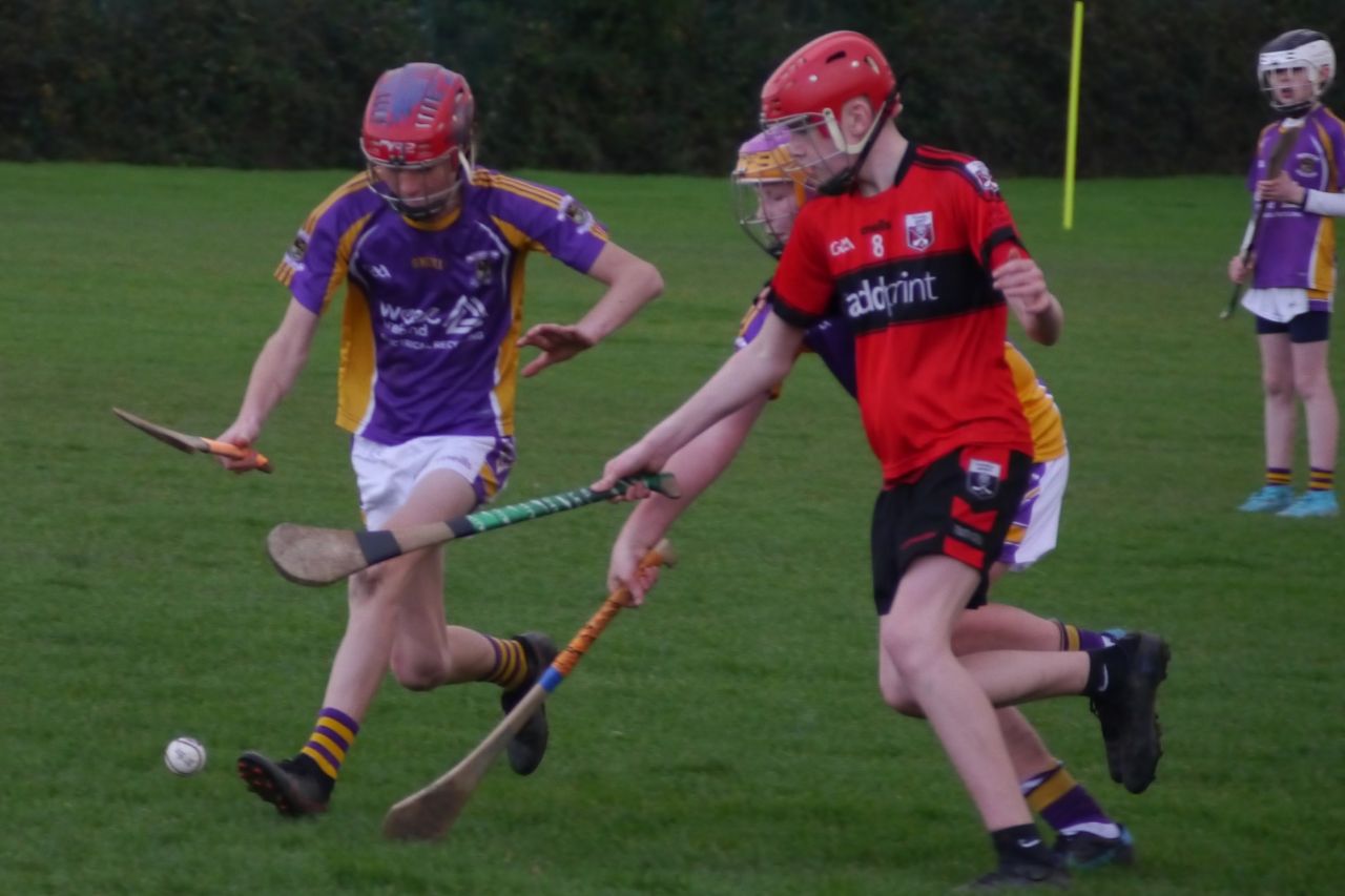 U12 Hurling League Div.11 vs. Trinity Gaels