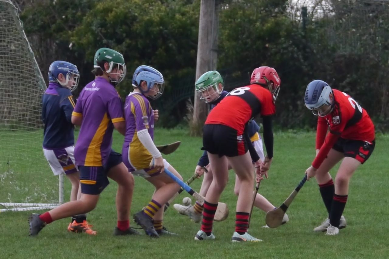 U12 Hurling League Div.11 vs. Trinity Gaels